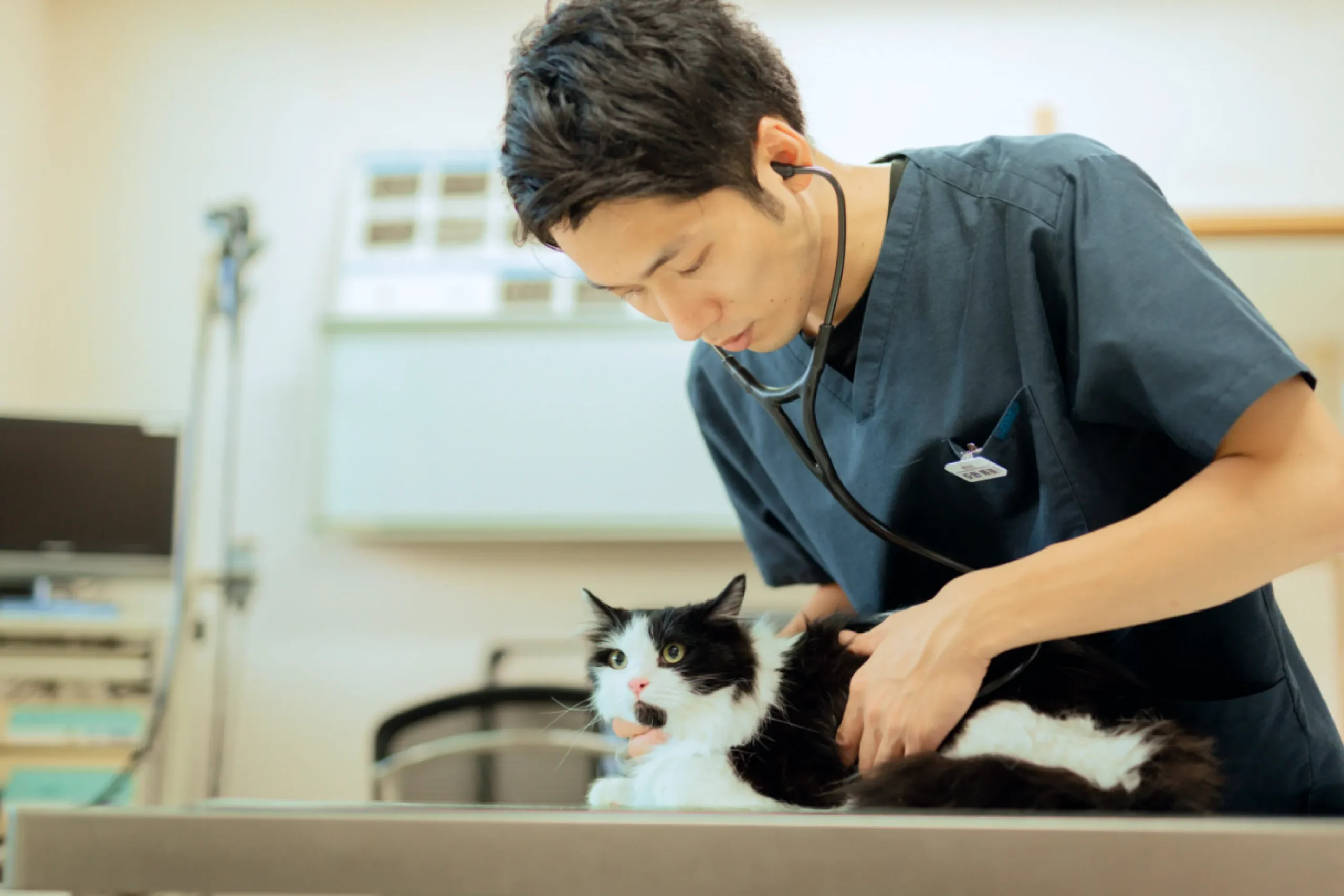 にのくに動物病院 サイトリニューアル